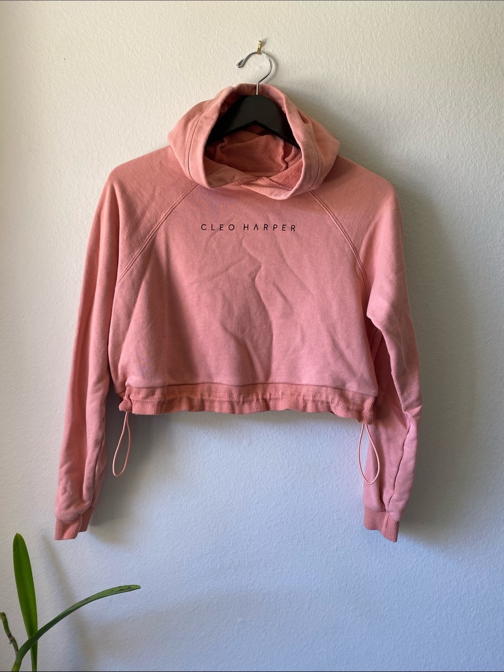 Cleo Harper Cropped Dusty Rose Hoodie